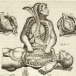 Juan Valverde de Amusco (ca. 1525–ca. 1588), Vivae imagines partium corporis humani aereis formis expressae. Book 4, plate [1]