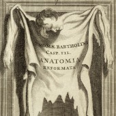 Thomas Bartholin (1616–1680), <em>Anatomia, ex Caspari Bartholini parentis Institutionibus, omniumque recentiorum et propriis observationibus tertiùm ad sanguinis circulationem reformata</em>. Frontispiece