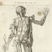 Juan Valverde de Amusco (ca. 1525–ca. 1588), Vivae imagines partium corporis humani aereis formis expressae. Book 2, plate 11