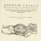 The art of anatomy: Vesalius and Valverde | Printing the body
