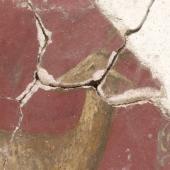 Pompeii fragments