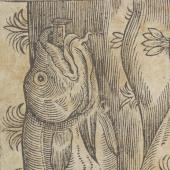 Vox piscis: or, the book fish