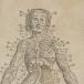 Vesalius’s  Anatomical tables plagiarized (2)