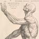 Gesturing bodies in the Fabrica